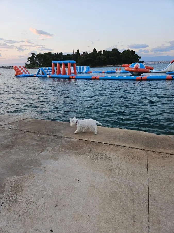 Holiday home Plavo Bijeli Svijet Villa Preko Croatia