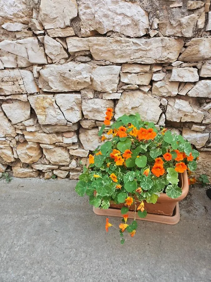 Plavo Bijeli Svijet Villa Preko Holiday home